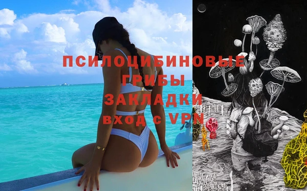 ALPHA PVP Вяземский