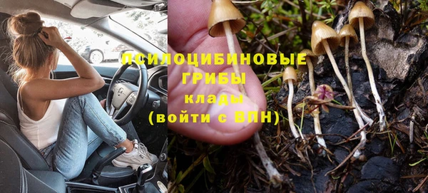 ALPHA PVP Вяземский