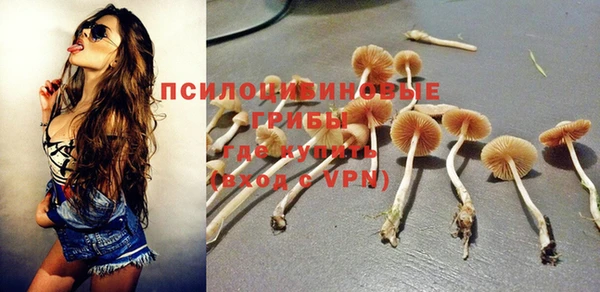 a pvp Вязьма